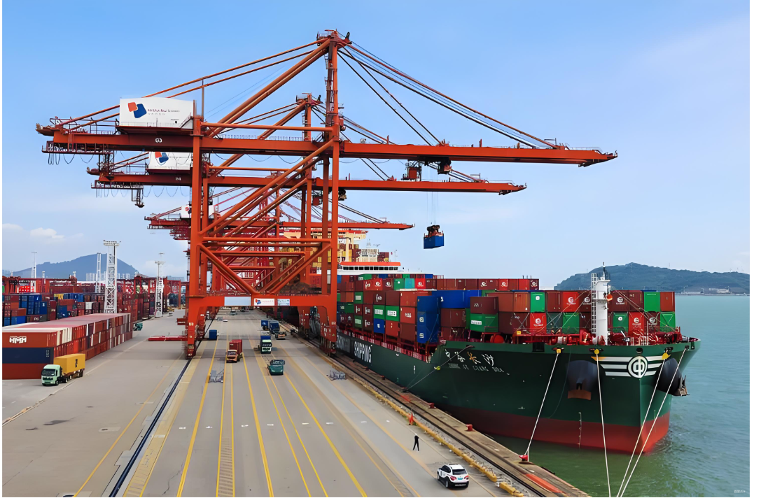 印度自11月1日起对黄豌豆征收30%进口关税 | 国内农户施压促政策调整