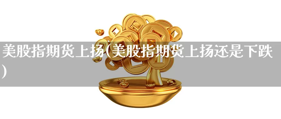 美股指期货上扬(美股指期货上扬还是下跌)_https://www.qhdcg8.cn_外盘期货直播间_第1张